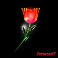 Cvetocek7 - Седая ночь