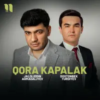 Jaloliddin Ahmadaliyev, Dostonbek Turdiyev - Qora kapalak mp3