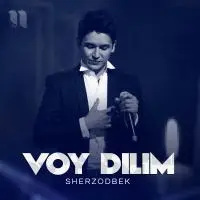 Sherzodbek - Voy dilim Bechora dilim mp3