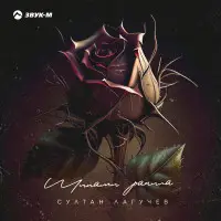 Султан Лагучев - Шипами ранила Султан Лагучев - Шипами ранила