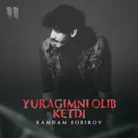 Xamdam Sobirov - Yuragimni olib ketdi